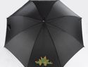 Parasol DARO