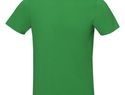 Męski t-shirt Nanaimo z krótkim rękawem, zielona paproć