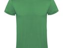 Atomic koszulka unisex z krótkim rękawem, kelly green
