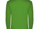 Estrella koszulka męska polo z długim rękawem, grass green