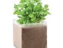 BASIL - Zestaw do uprawy "Bazylia"
