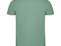 Star koszulka męska polo z krótkim rękawem, dark mint