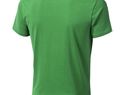 Męski t-shirt Nanaimo z krótkim rękawem, zielona paproć