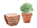 CRESS POT - Nasiona rzeżuchy w doniczce