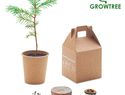 GROWTREE™ - Nasiona sosny, torf, doniczka