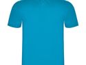 Austral koszulka polo unisex z krótkim rękawem, turkusowy