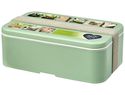 MIYO Renew jednoczęściowy lunchbox, zielony butelkowy / szary kamienny
