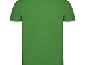 Star koszulka męska polo z krótkim rękawem, tropical green