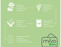 MIYO Renew jednoczęściowy lunchbox, szary kamienny / biały