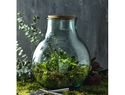 Terrarium Tier ze szkła z recyklingu z zestawem ogrodniczym, przezroczysty bezbarwny