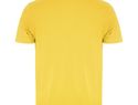 Austral koszulka polo unisex z krótkim rękawem, żółty