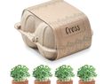 CRESS - Zestaw do uprawy w kartonie