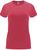 Chrysanthemum red
