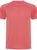 Fluor coral
