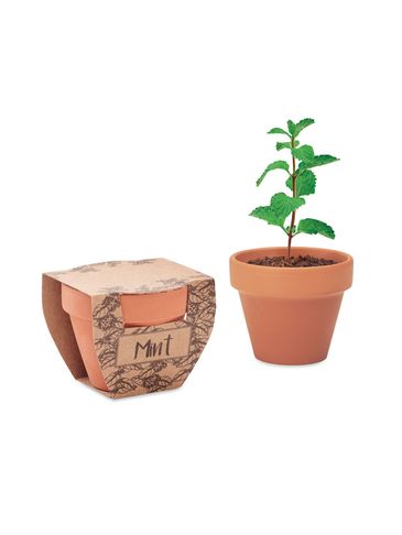 MINT POT - Nasiona mięty w doniczce