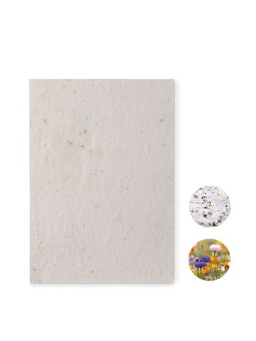 ASIDE - Arkusz A5 z nasionami kwiatów