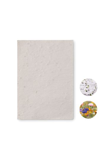 ASIDO - Arkusz A6 z nasionami kwiatów