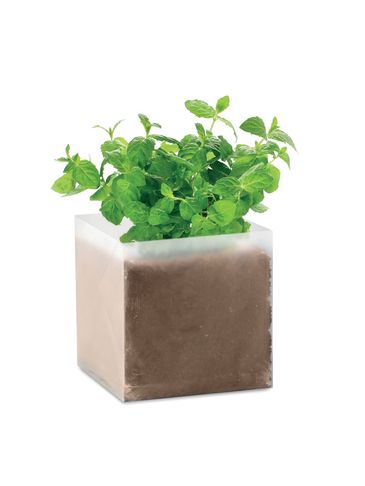 MINT - Zestaw do uprawy "Mięta "