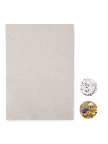 ASIDI - Arkusz A4 z nasionami kwiatów