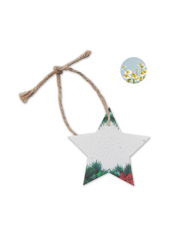 STARSEED - Ozdoba świąteczna z nasionami