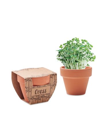 CRESS POT - Nasiona rzeżuchy w doniczce