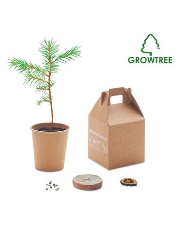 GROWTREE™ - Nasiona sosny, torf, doniczka