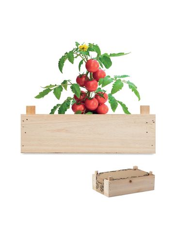 TOMATO - Zestaw do uprawy pomidorów