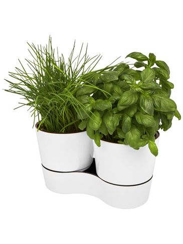 Podwójna docznika kuchenna Herbs, biały