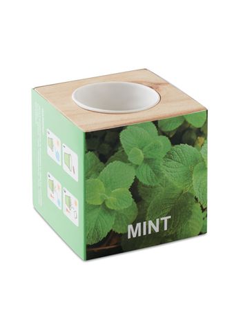 MENTA - Drewniany pojemnik z ziołami