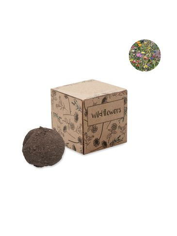 BOMBI - Zestaw do uprawy bomby nasion