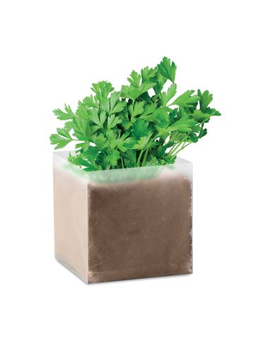 PARSELY - Zestaw do uprawy "Pietruszka "